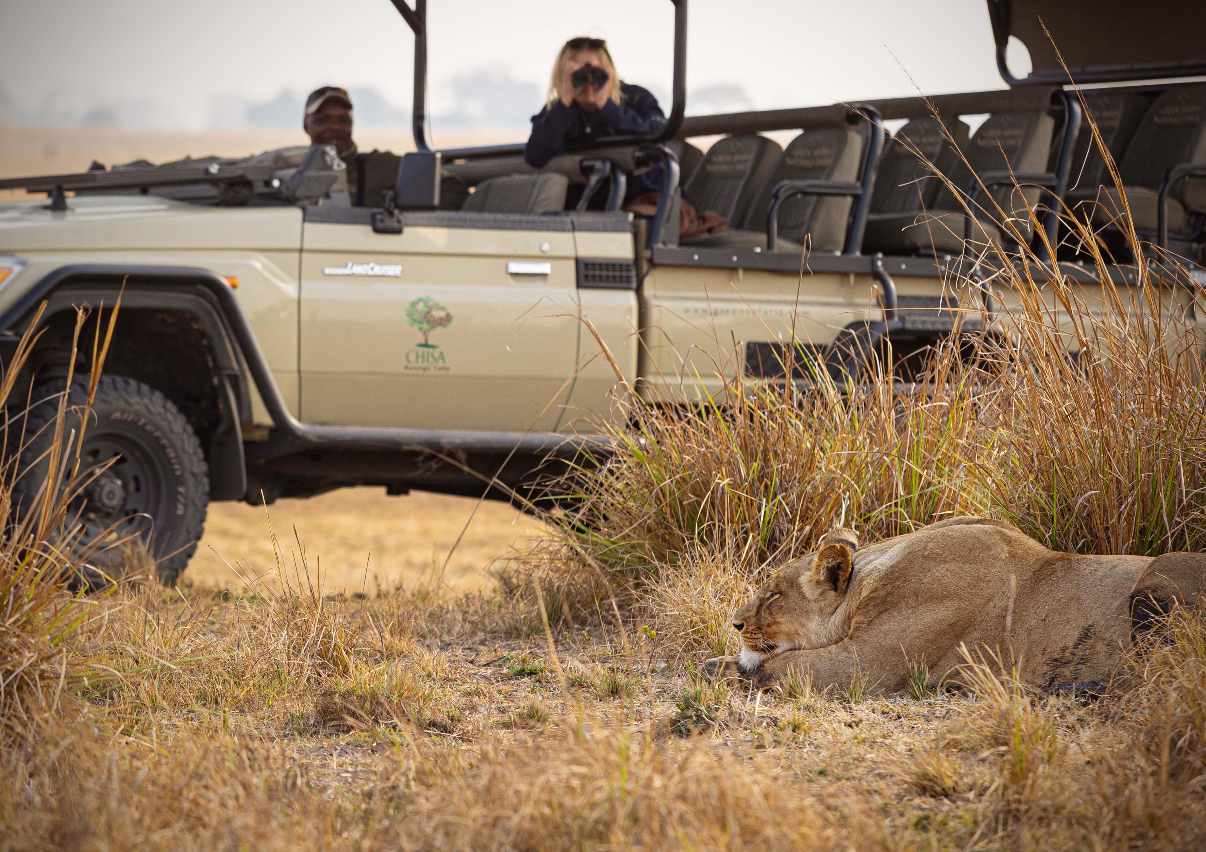 Chisa Busanga   Vehicle & Lion3