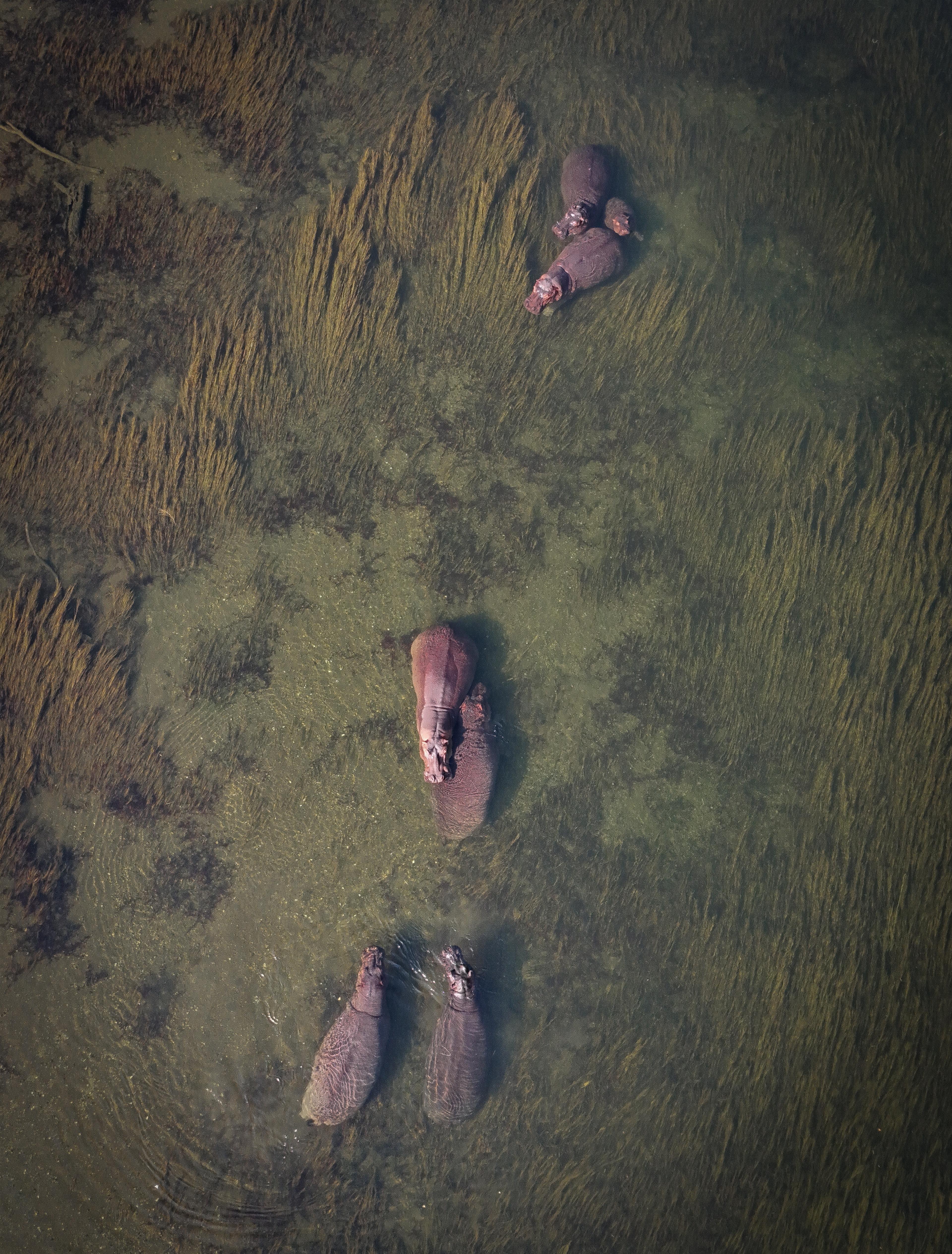 DJI 20250904083238 0048 D