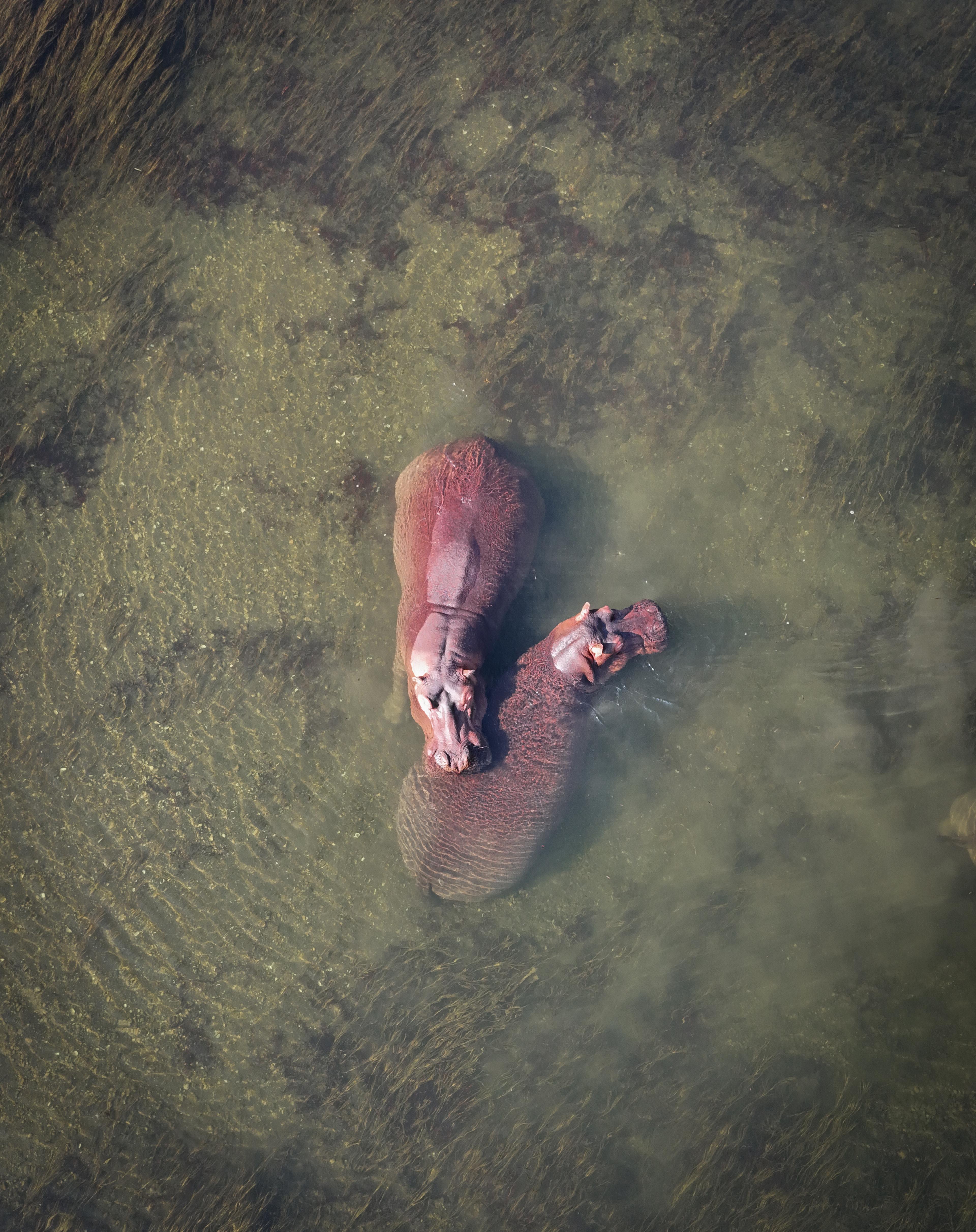 DJI 20250904083312 0050 D