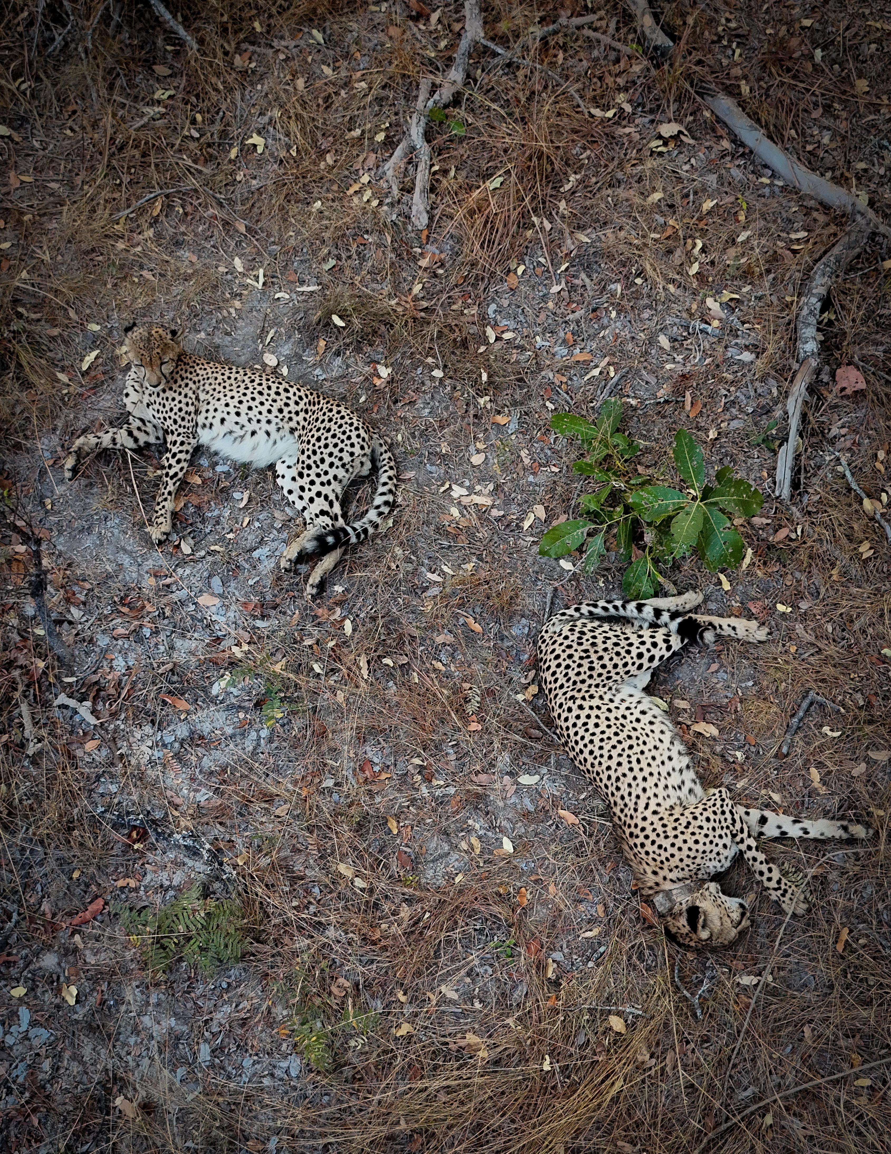 DJI 20250907163652 0109 D