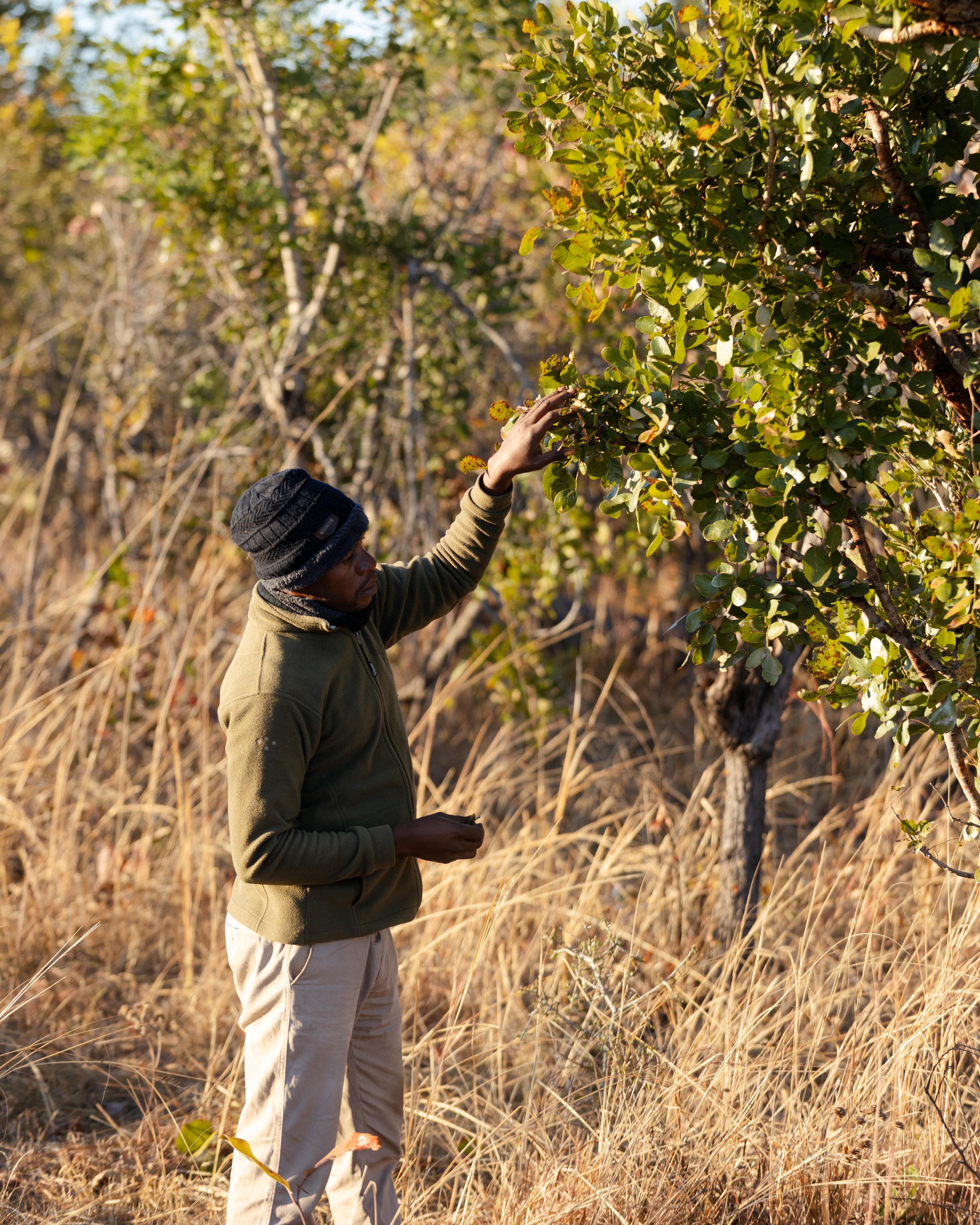 Game Drive Details 1