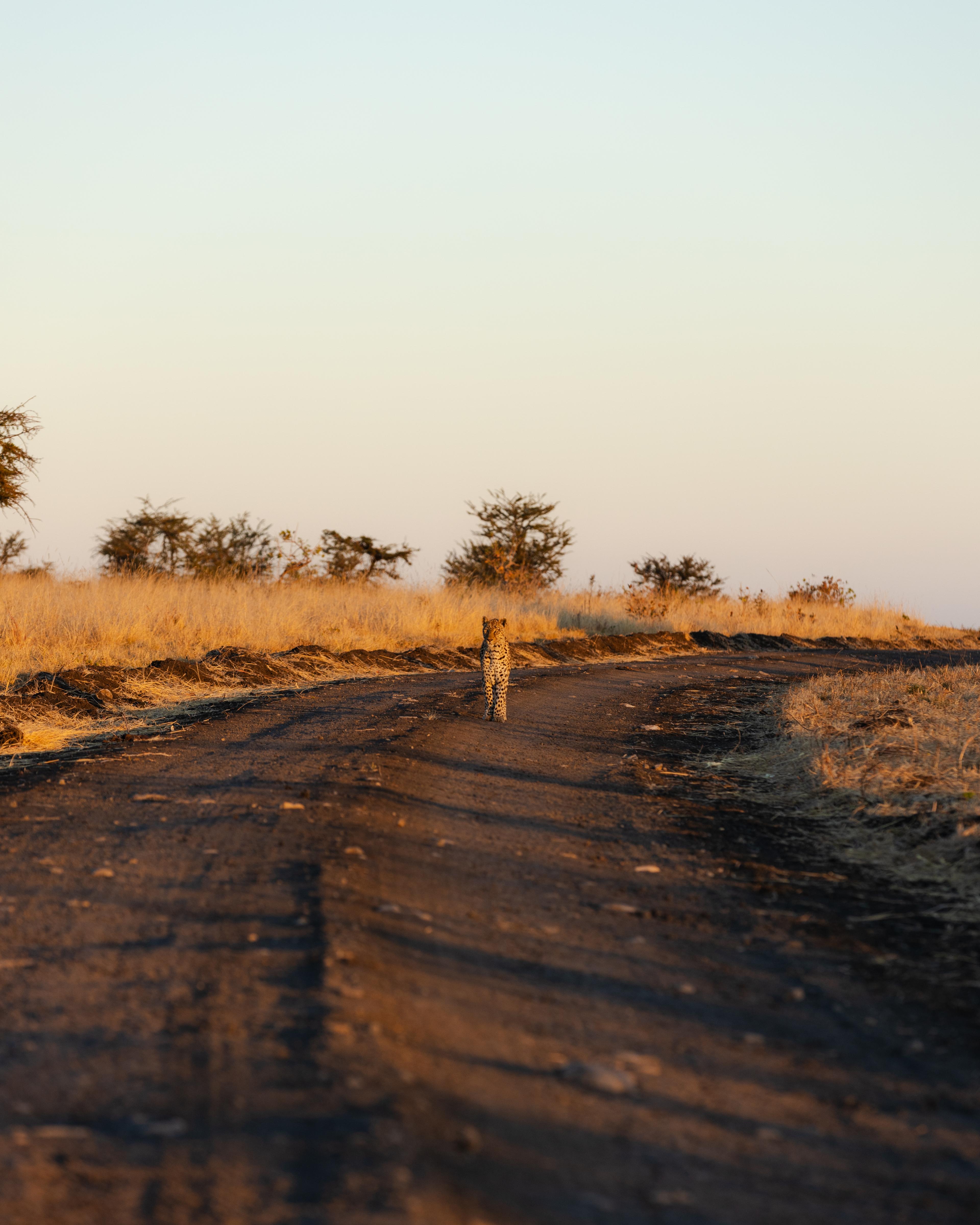 Game Drive Details 5