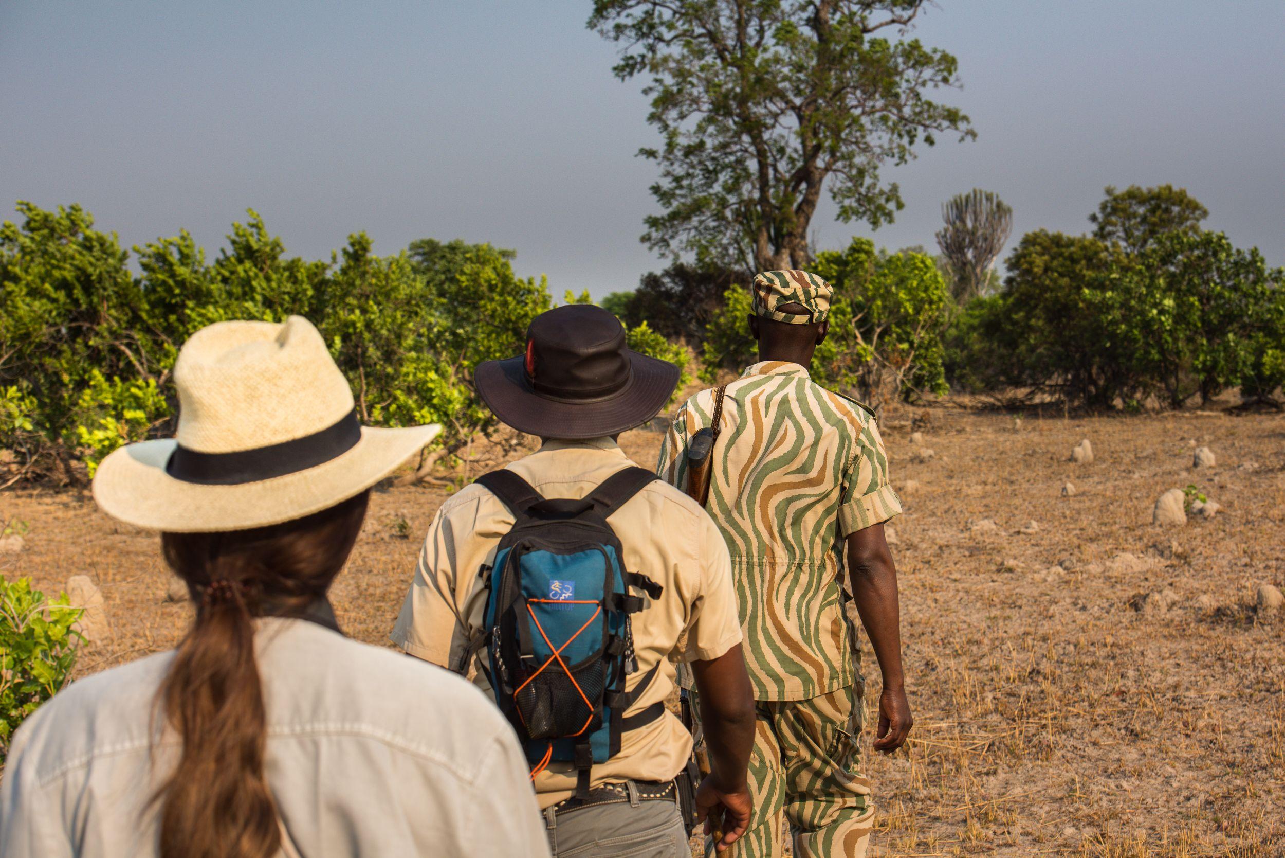 Walking Safari with Scout