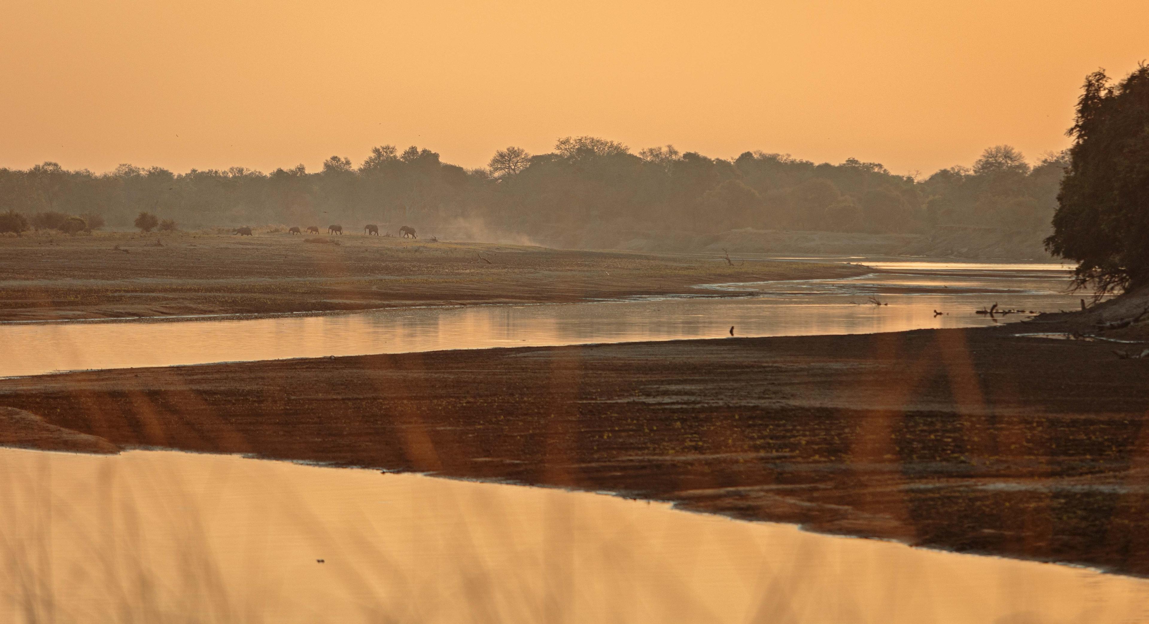 Shawa Luangwa 2022 -88.Game on river