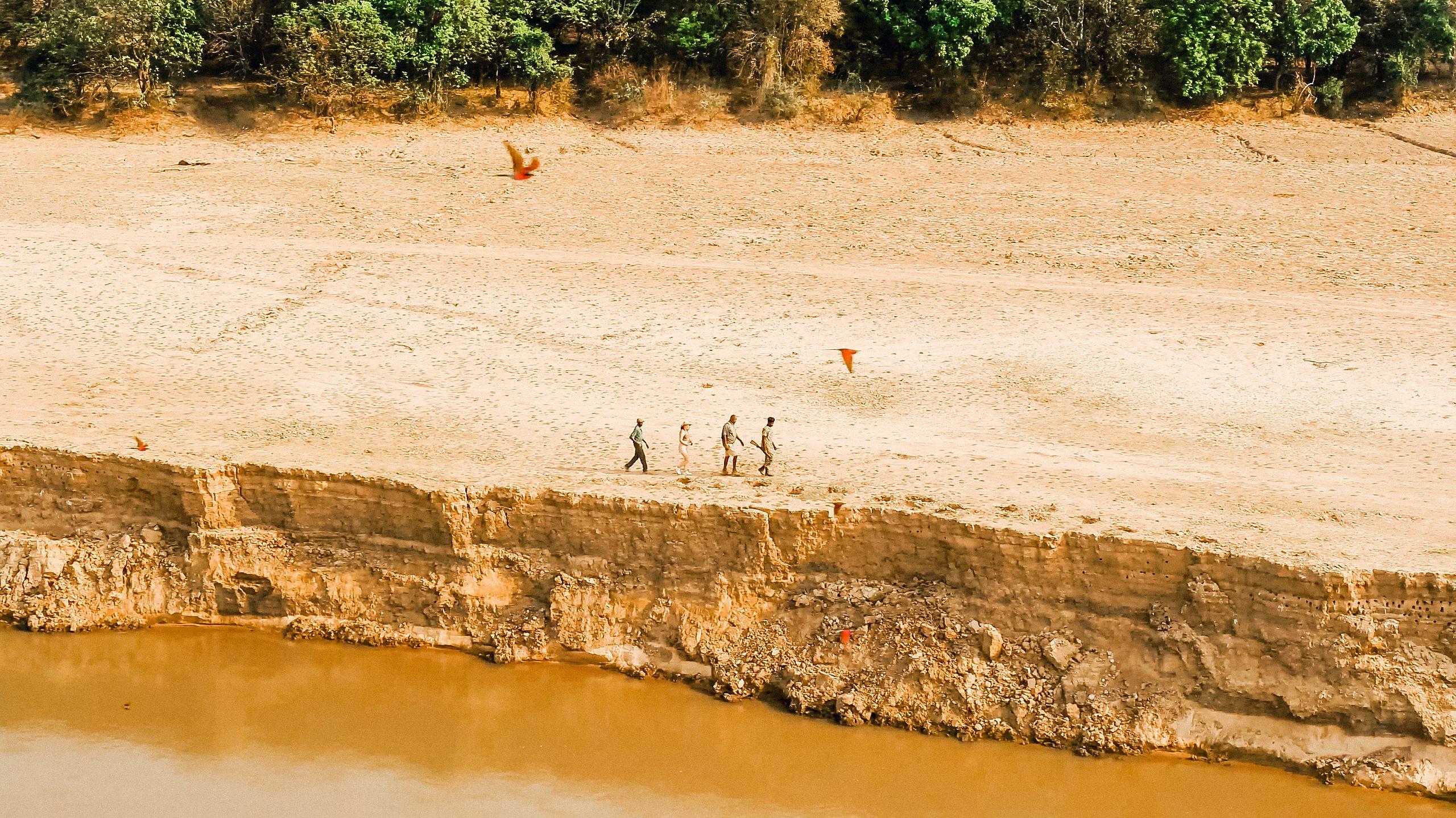 Walking Safari on the Banks