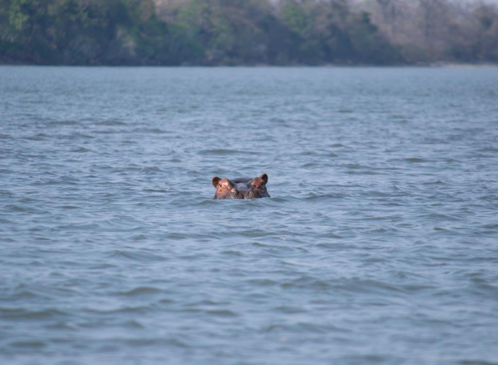 Contact Mukango Safari